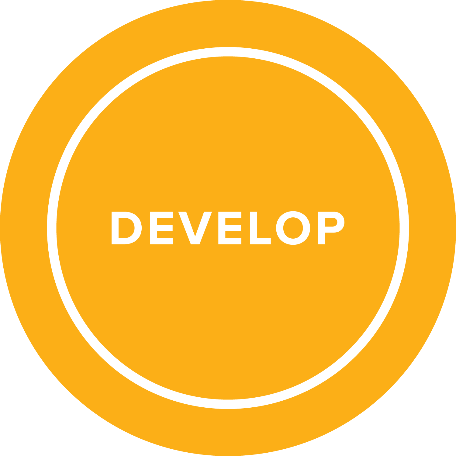 module-develop